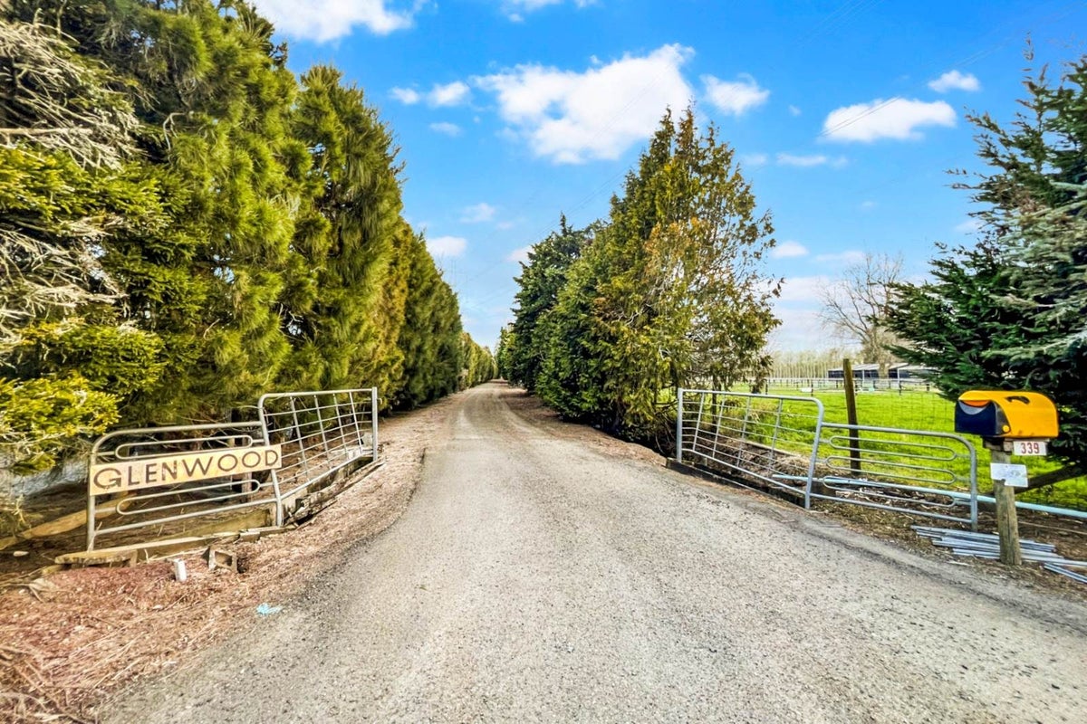 339 Hautapu Road, Tamahere, Waikato, Waikato - Carousel 33