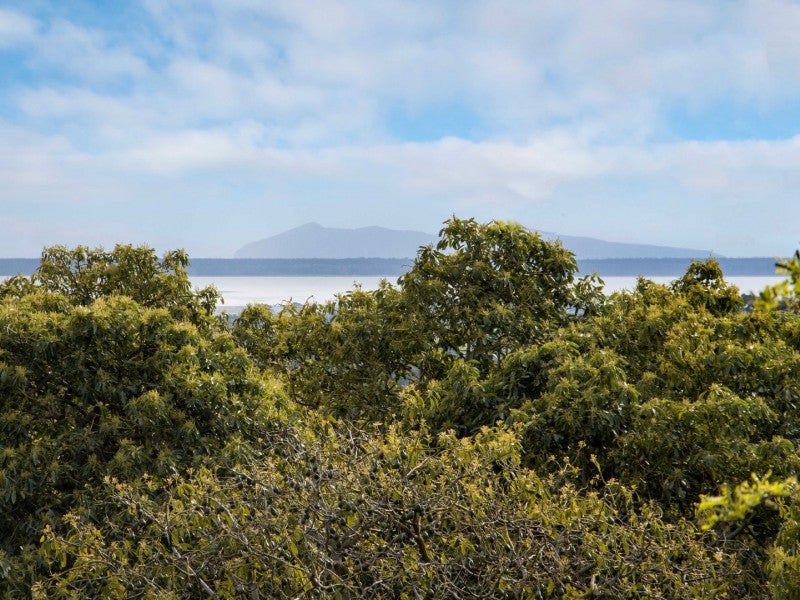 326 Lockington Road, Aongatete, Katikati - Carousel 2