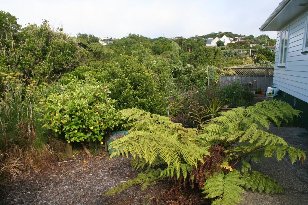 9 Clematis Grove, Maungaraki, Lower Hutt - Carousel 26