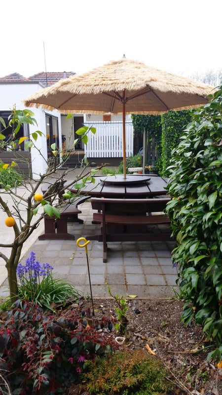 9 Arthur Street, Glenholme, Rotorua - Carousel 20