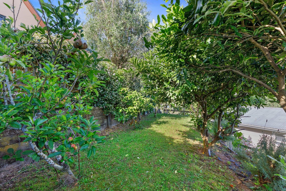 18 Jonathon Street, Brookfield, Tauranga - Carousel 21
