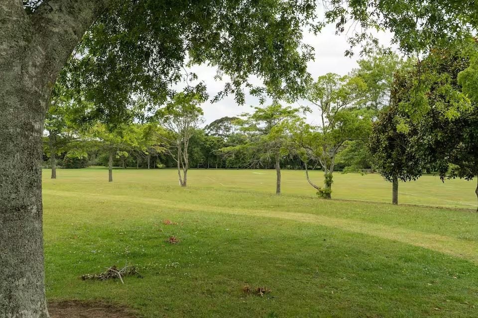 24 Tiaki Rise, Tikipunga, Whangarei - Carousel 11