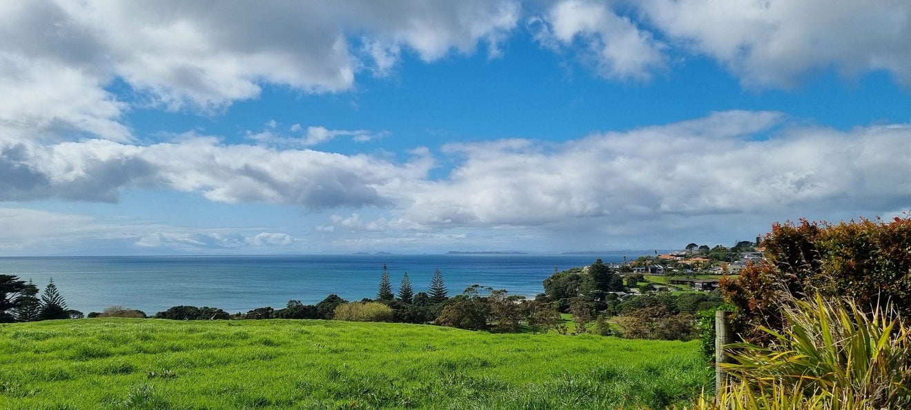 65 Bearing Parade, Long Bay, Auckland - Carousel 26