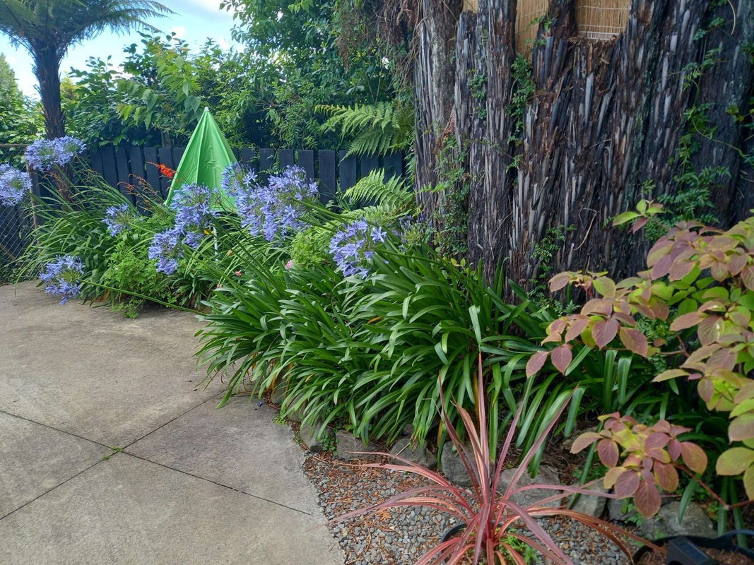 102 Old Quarry Road, Selwyn Heights, Rotorua - Carousel 16