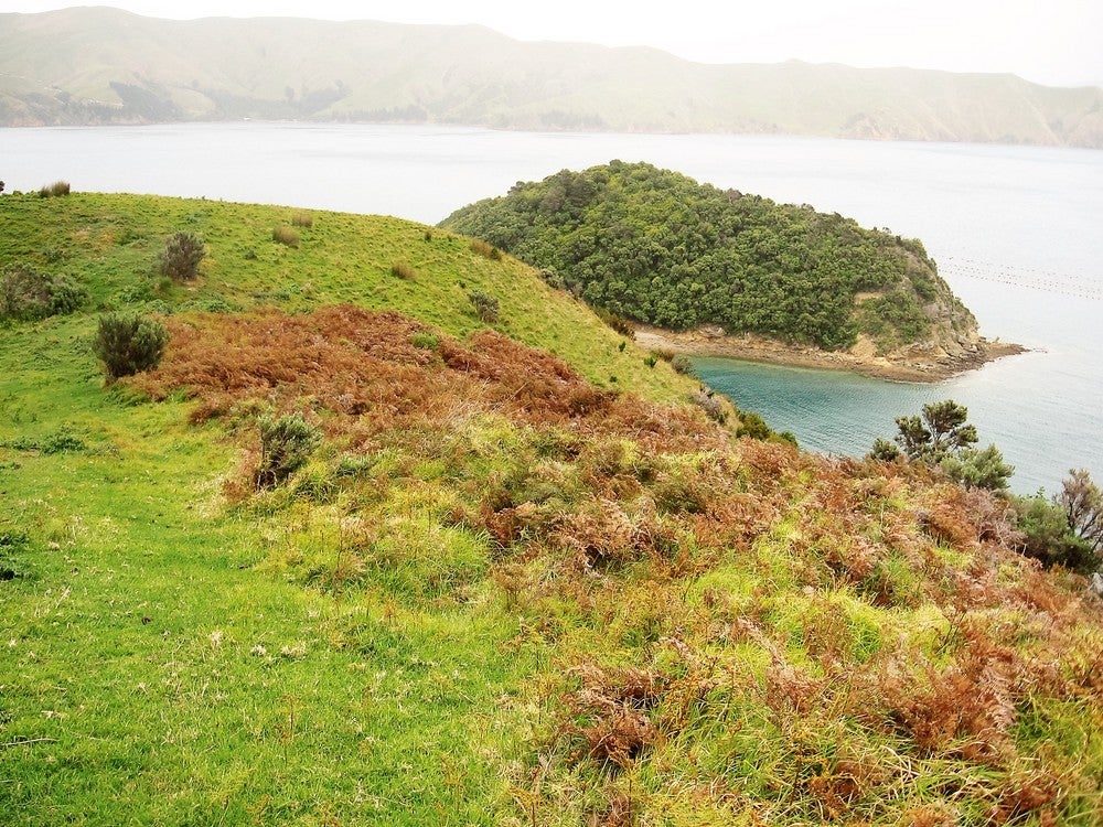 0 Admiralty Bay, Marlborough - Carousel 1