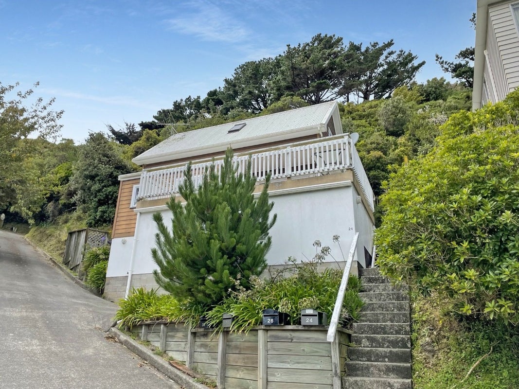 24 Vancouver Street, Kingston, Wellington - Carousel 1