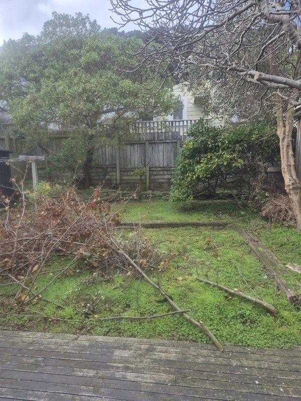 87 Austin Street, Mount Victoria, Wellington - Carousel 14