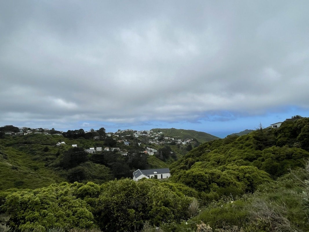 291 Mitchell Street, Brooklyn, Wellington - Carousel 10