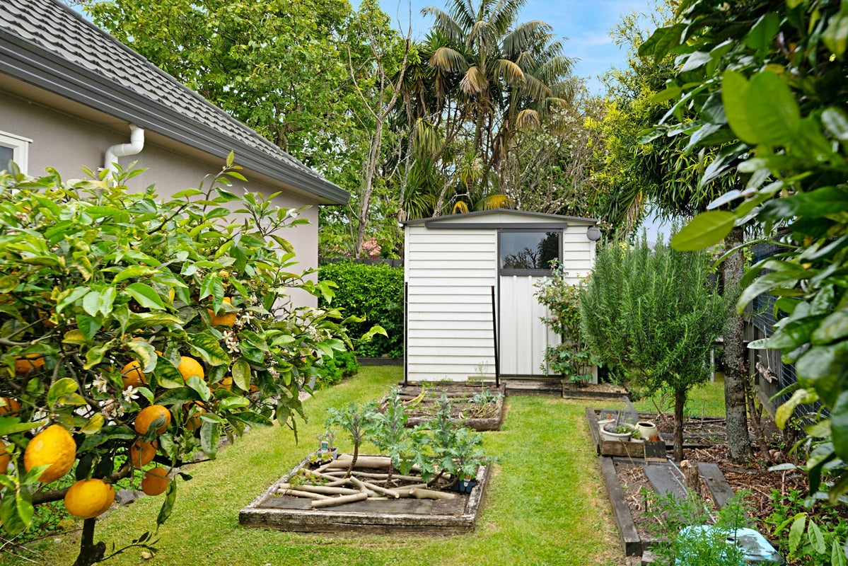 12E Mead Street, Avondale, Auckland - Carousel 22