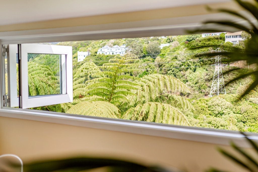20 Putnam Street, Northland, Wellington - Carousel 2