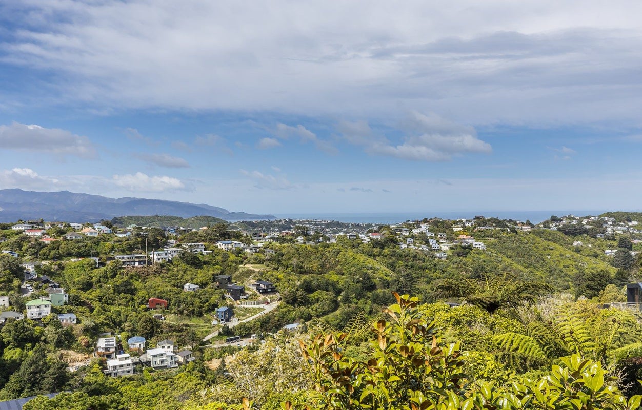 16 Virginia Grove, Brooklyn, Wellington - Carousel 2