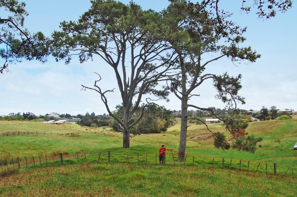 0 Centennial Park Road, Wellsford, Wellsford - Carousel 1