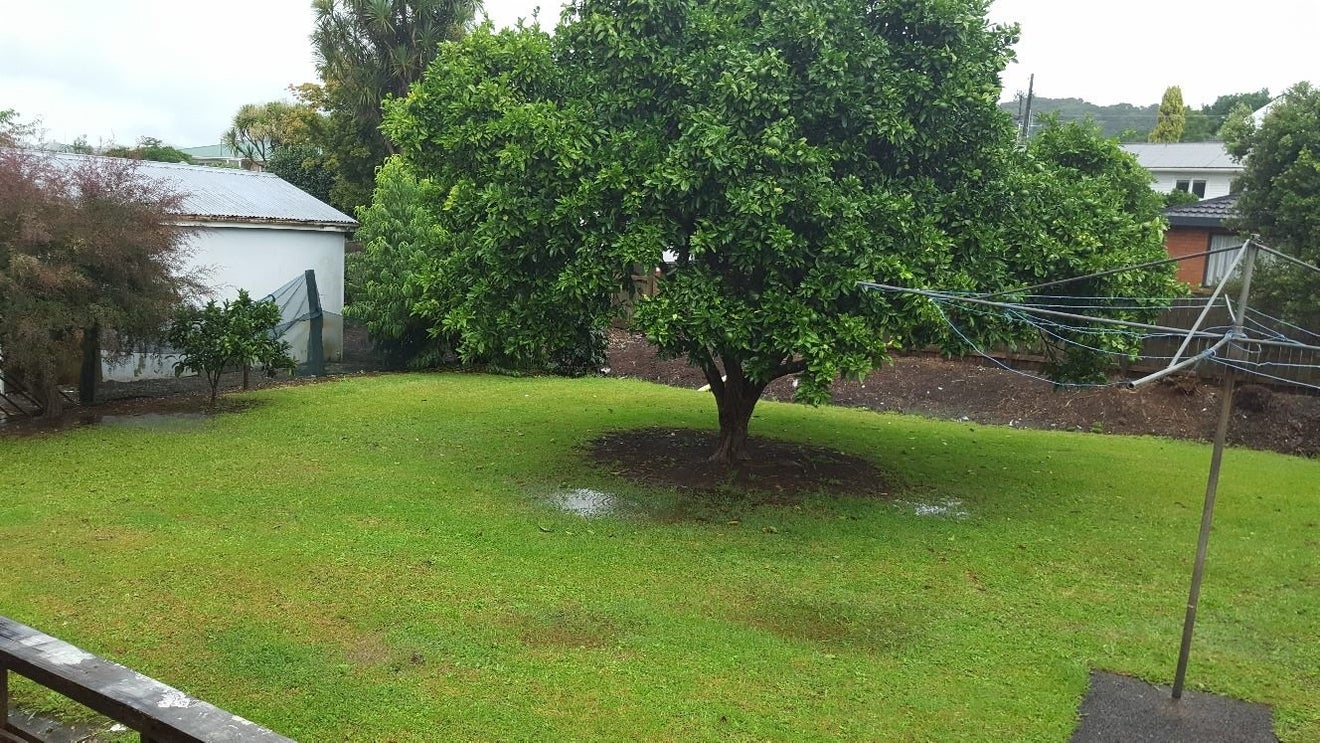 467 Kamo Road, Kamo, Whangarei - Carousel 14