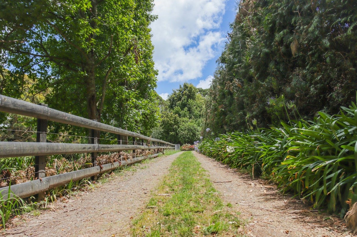 22 Hillcrest Road, Palmerston North - Carousel 2