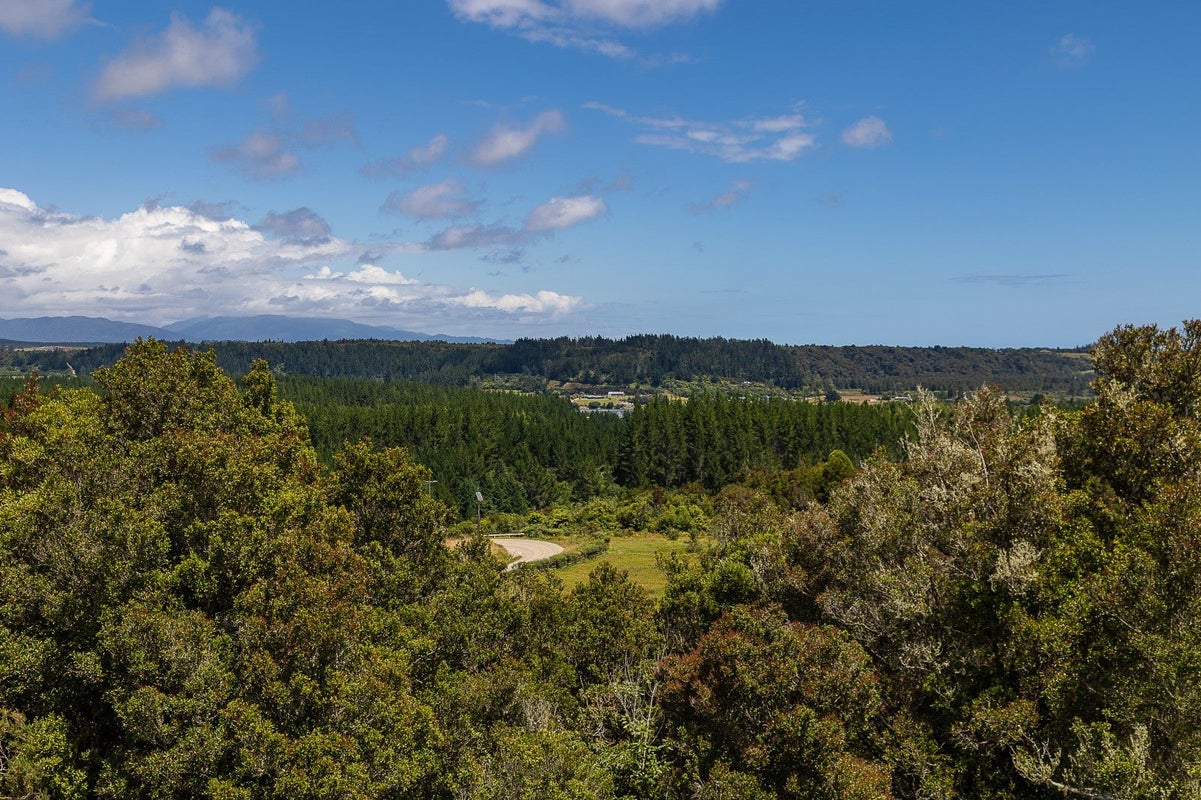 8 Blue Spur Road, Blue Spur, Hokitika - Carousel 6