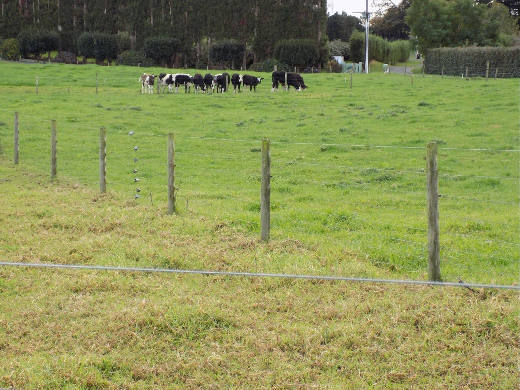 36 Echo Valley Way, Tauriko, Tauranga - Carousel 15