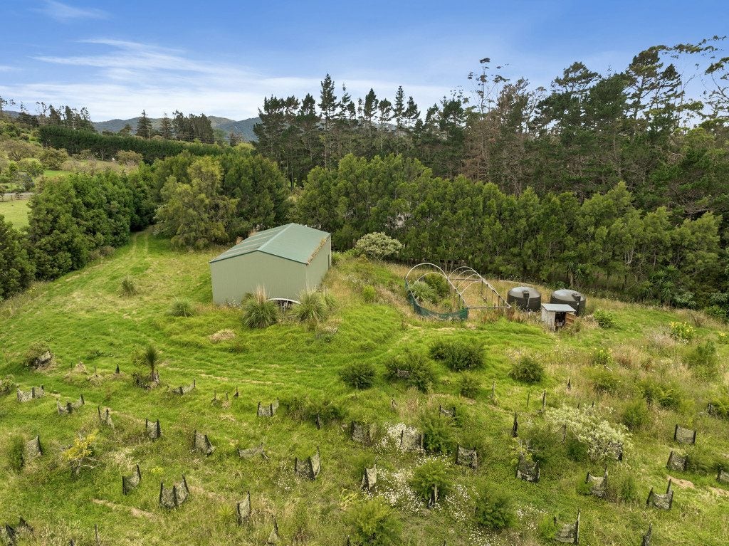 379D Tara Road, Kaiwaka - Carousel 13