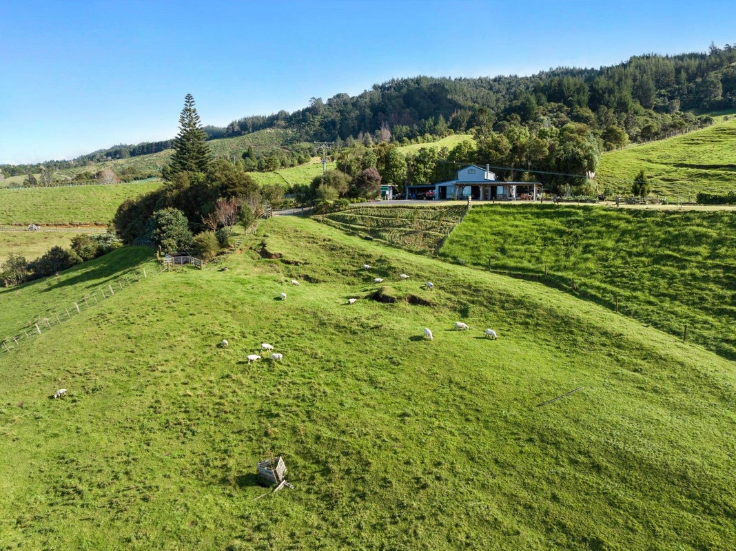 225C Woodland Road, Tahawai, Katikati - Carousel 2
