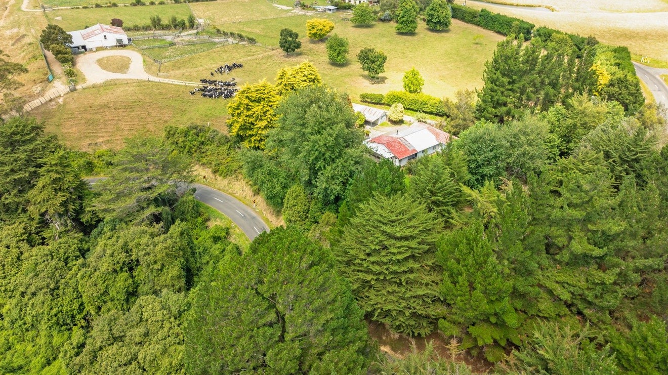 1384 Taonui Road, Pohangina, Feilding - Carousel 20
