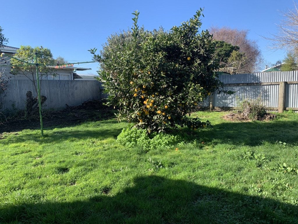 6 Panama Street, Martinborough - Carousel 14