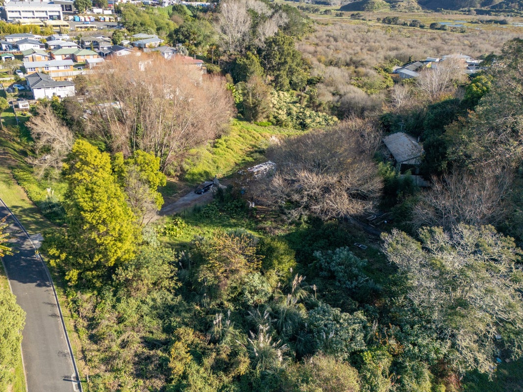 78 Sherson Street, Gate Pa, Tauranga - Carousel 2