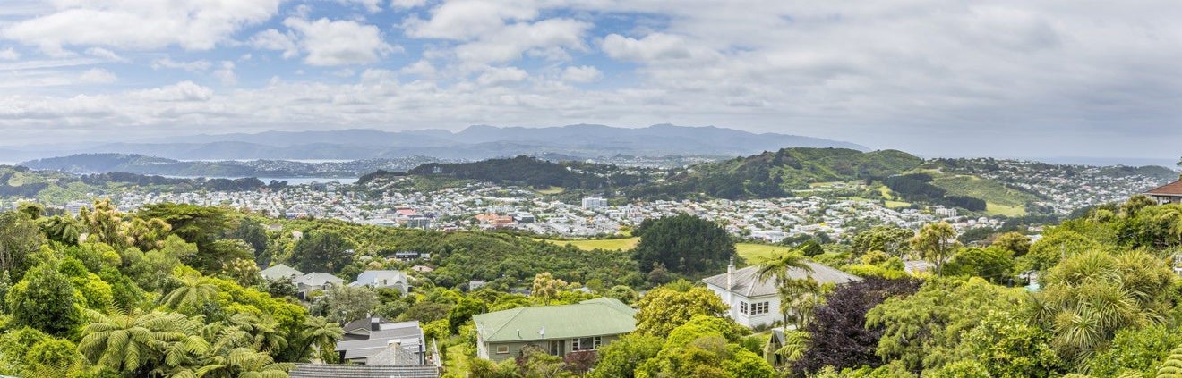 79A Mills Road, Brooklyn, Wellington - Carousel 2