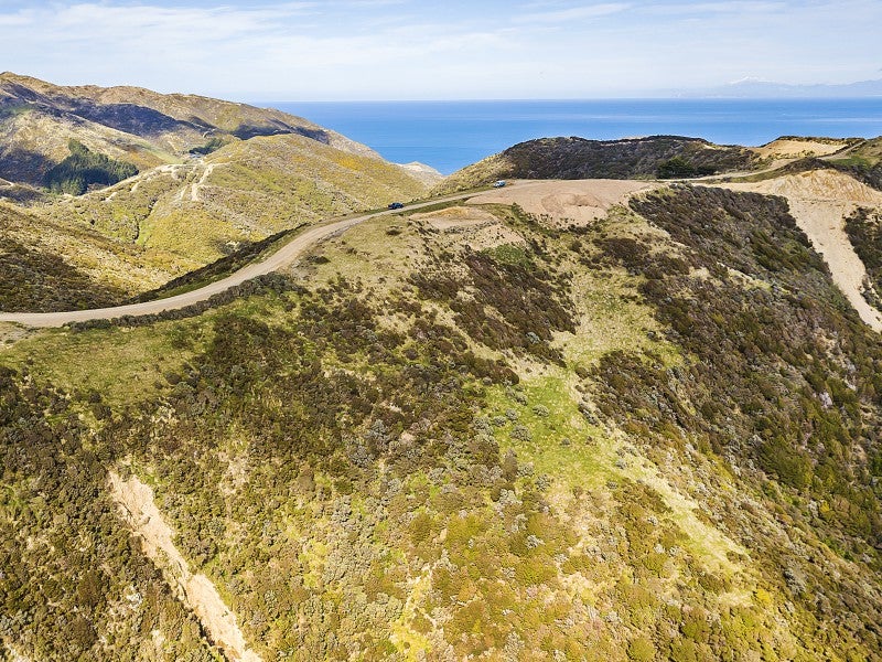 452 Southernthread Road, Brooklyn, Wellington - Carousel 2