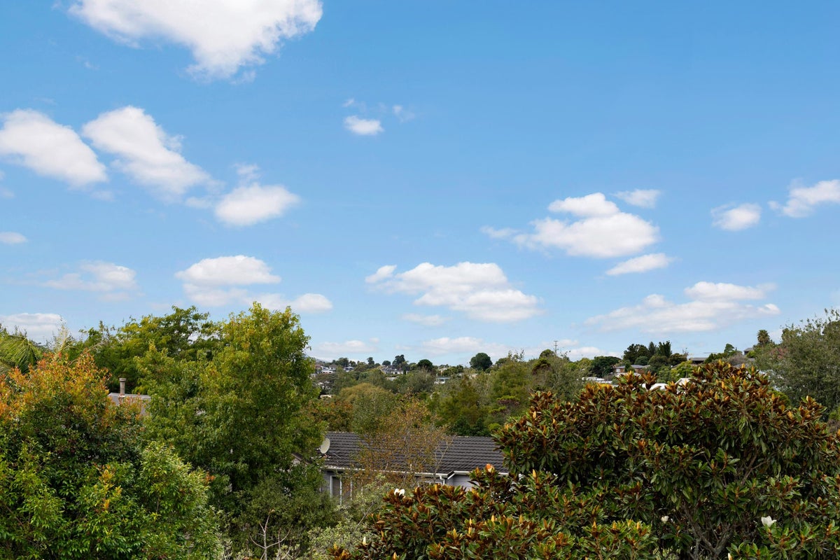 6 Tetrarch Place, Totara Vale, Auckland - Carousel 16