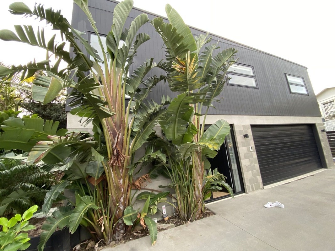 37B Maranui Street, Mount Maunganui, Mount Maunganui - Carousel 2