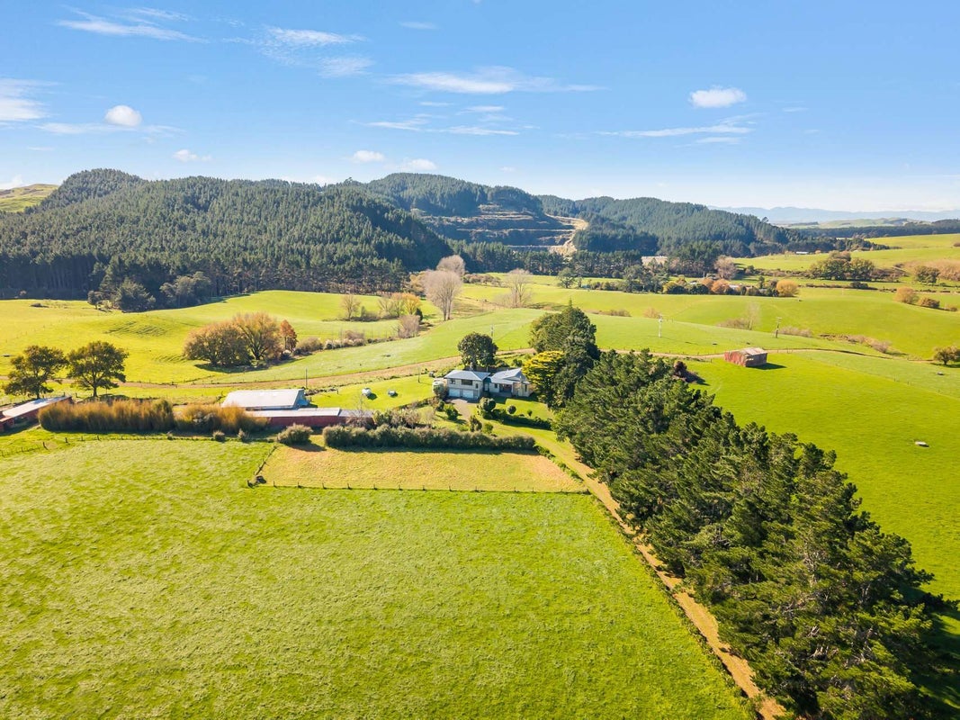 3001A State Highway 2, Waitakaruru, Ngatea - Carousel 2