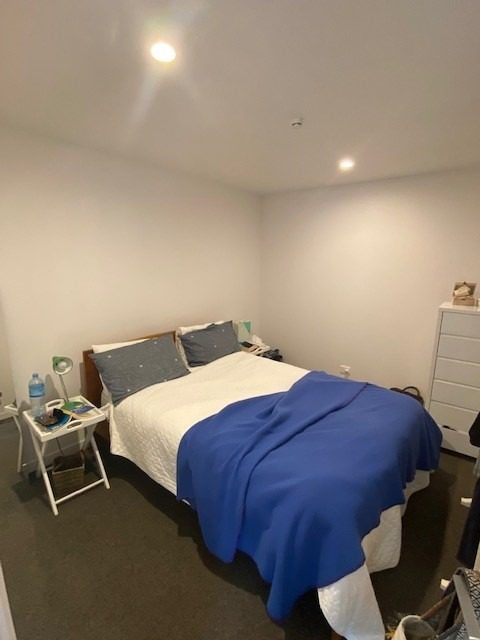 74 Harrier Street, Parkvale, Tauranga - Carousel 12