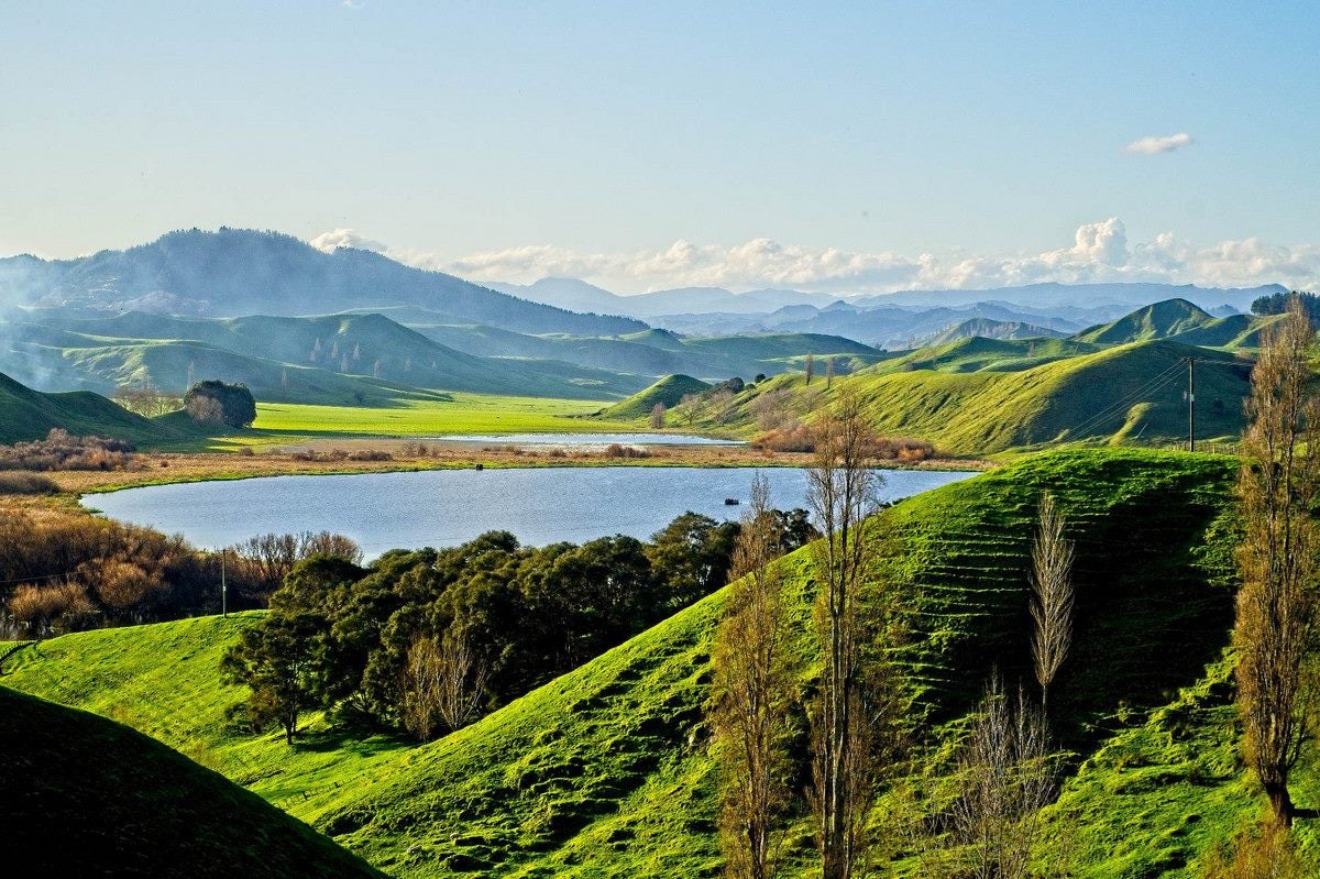 0 Lake Road, Raglan, Taupiri - Carousel 24