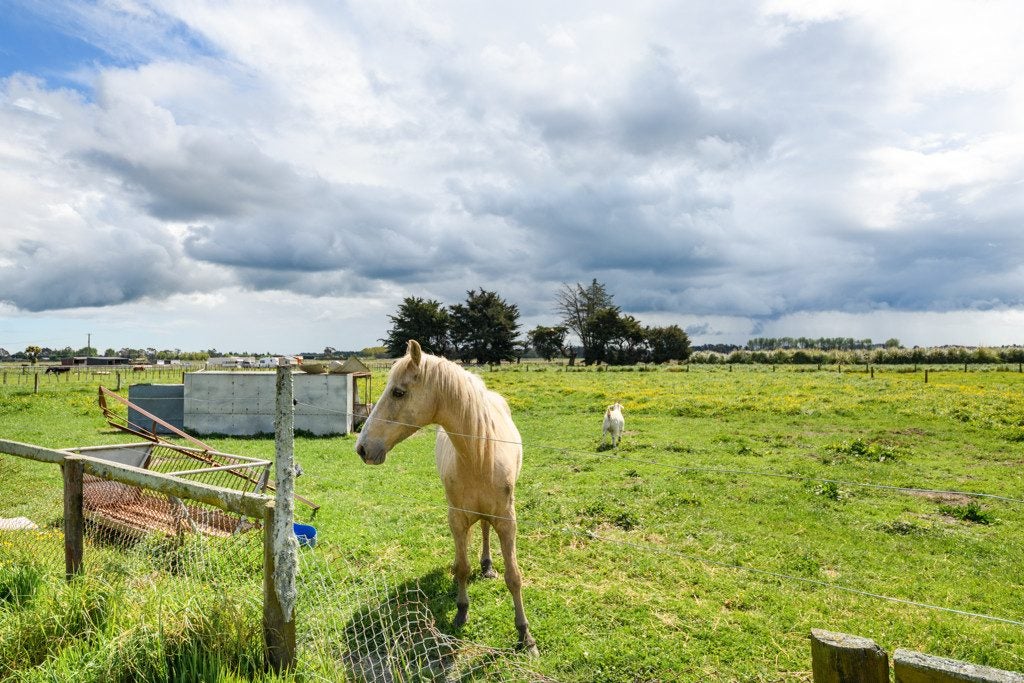 436 Green Road, Rongotea, Palmerston North - Carousel 2