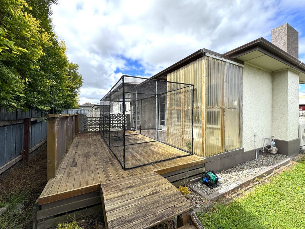 1 Kipling Street, Roslyn, Palmerston North - Carousel 9