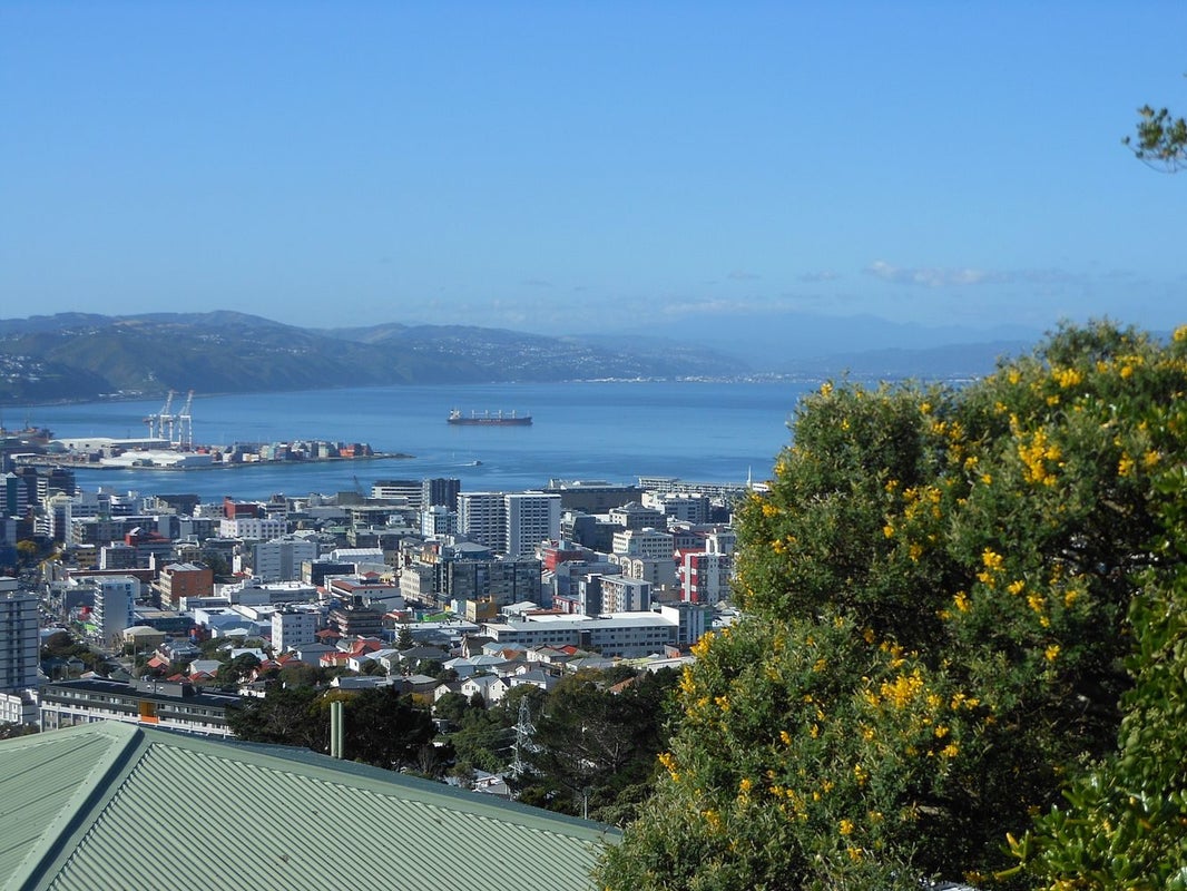 15 Jefferson Street, Brooklyn, Wellington - Carousel 1