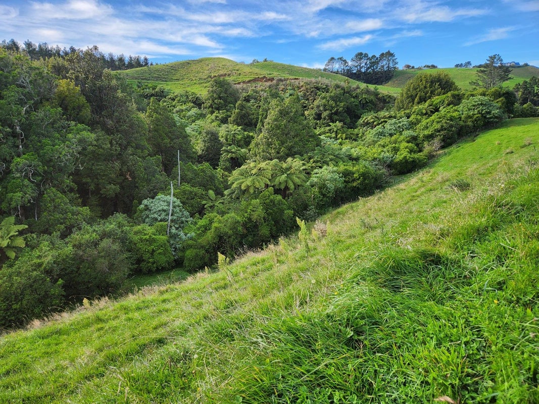 144 Ackworth Road, Lepperton, New Plymouth - Carousel 24