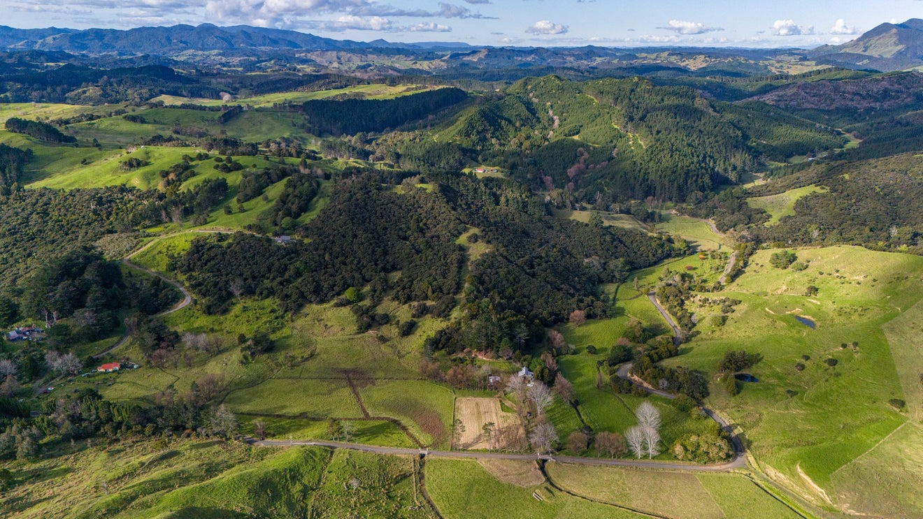 113 Puhata Road, Herekino, Kaitaia - Carousel 31