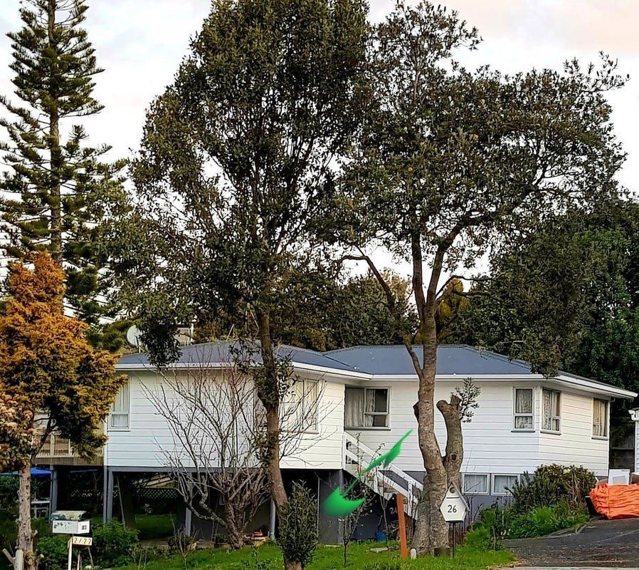 26 Dunraven Place, Torbay, Auckland - Carousel 1