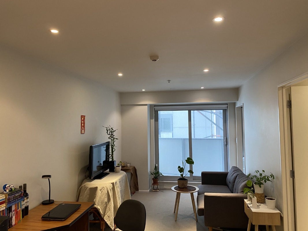 618/74 Taranaki Street, Te Aro, Wellington - Carousel 2