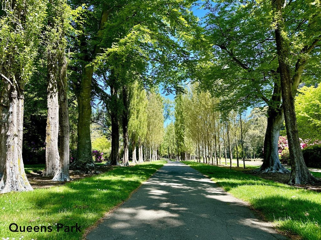 1/22 Catherine Street, Windsor, Invercargill - Carousel 25