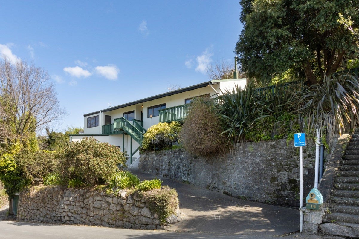 16 France Road, Bluff Hill, Napier - Carousel 19