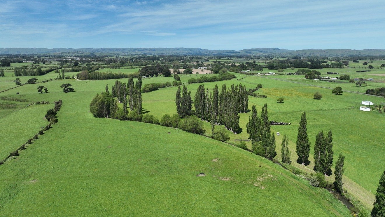 382 Dalefield Road, Dalefield, Carterton - Carousel 2