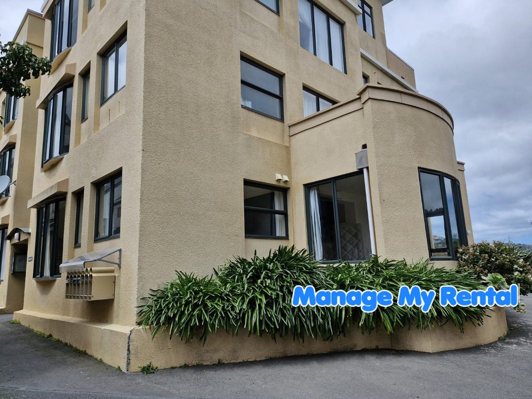 566H Adelaide Road, Berhampore, Wellington - Carousel 1