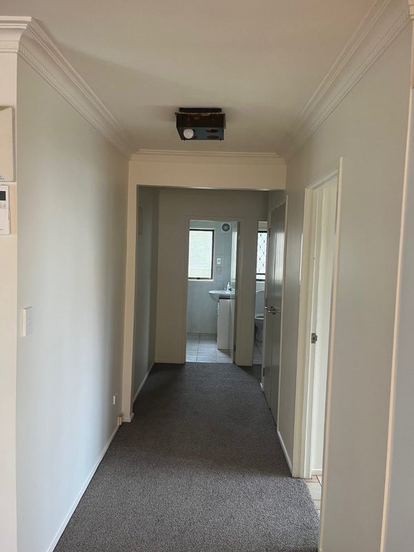 24A Olsen Avenue, Hillsborough, Auckland - Carousel 25
