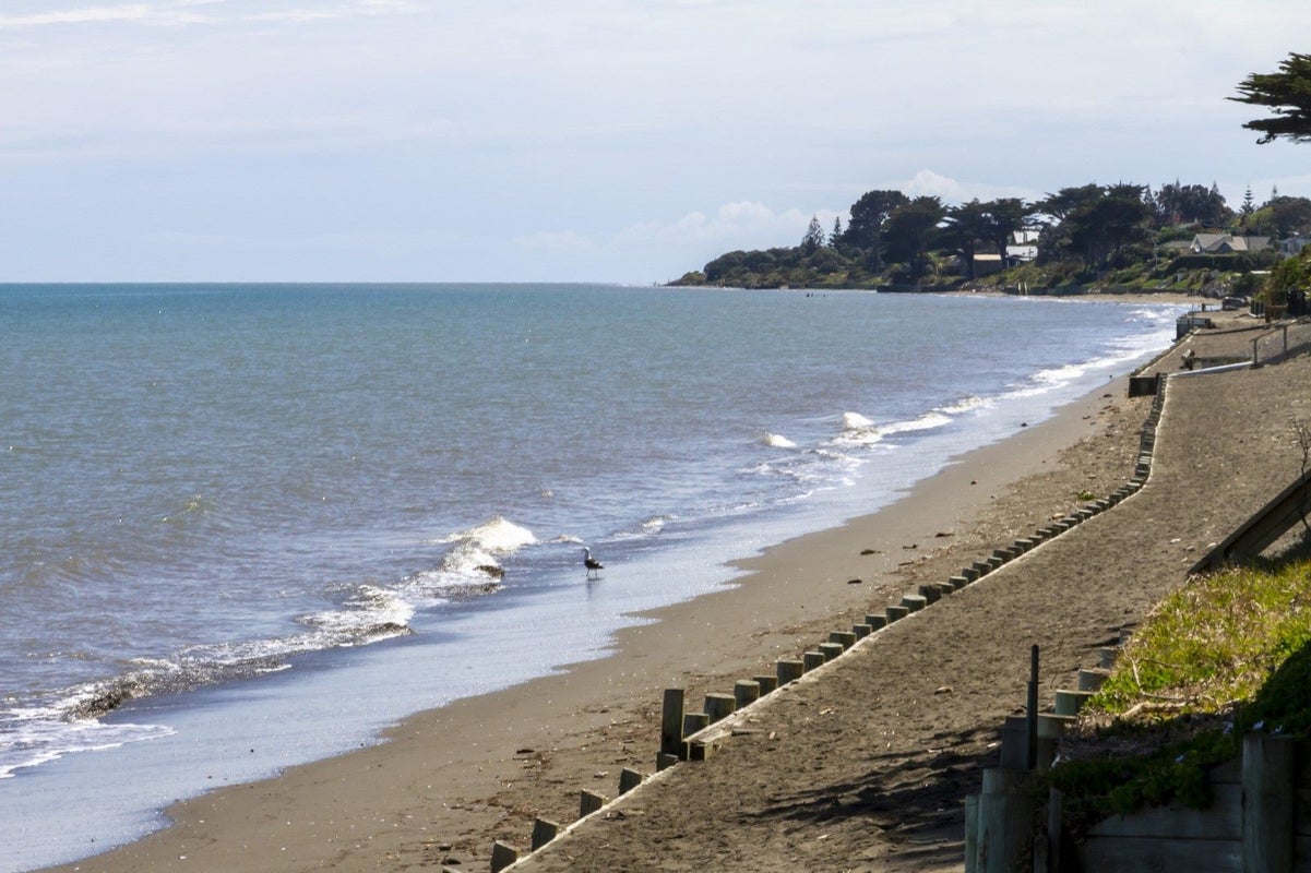 237 Rosetta Road, Raumati Beach, Paraparaumu - Carousel 34