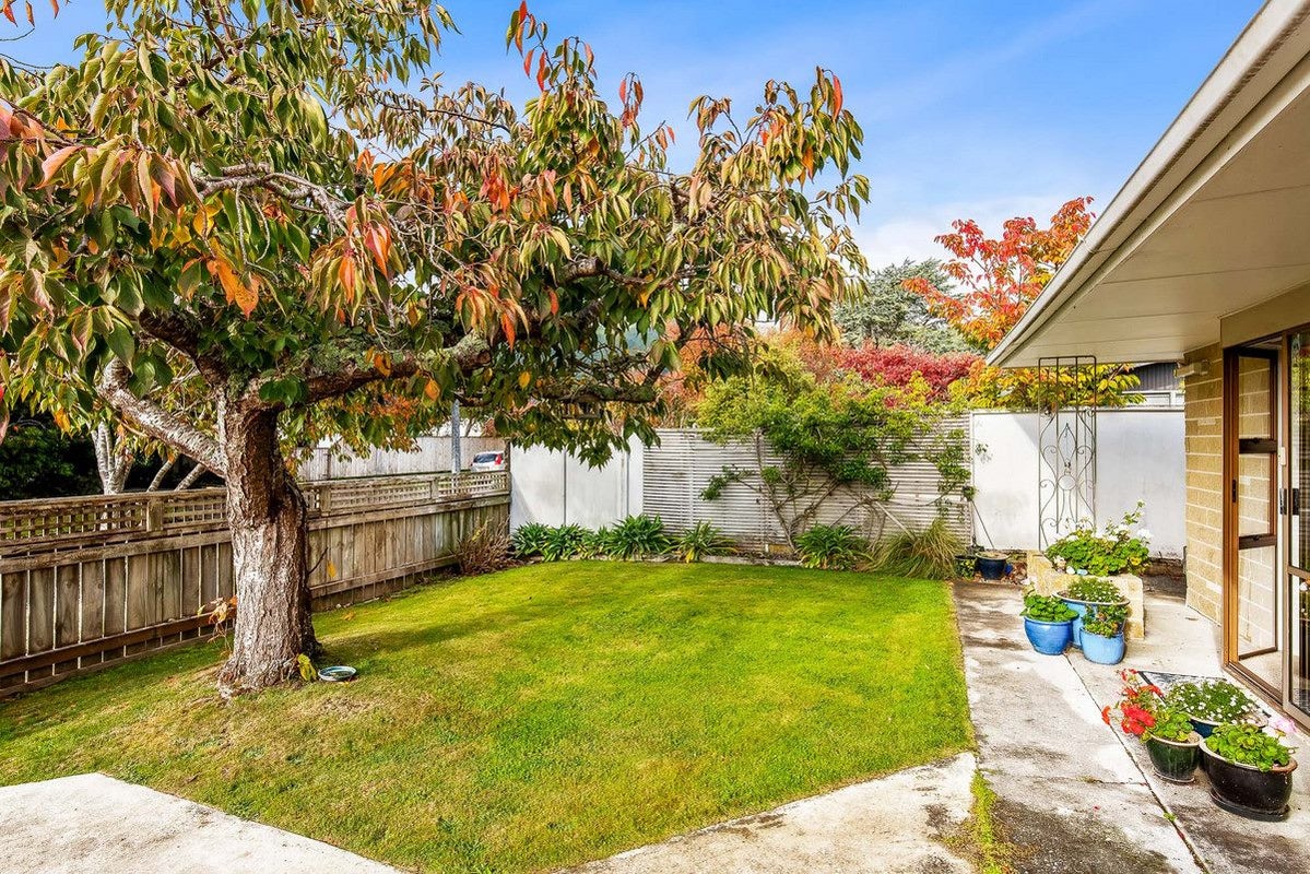 41A ANDREW ST, Waikanae, WAIKANAE - Carousel 2