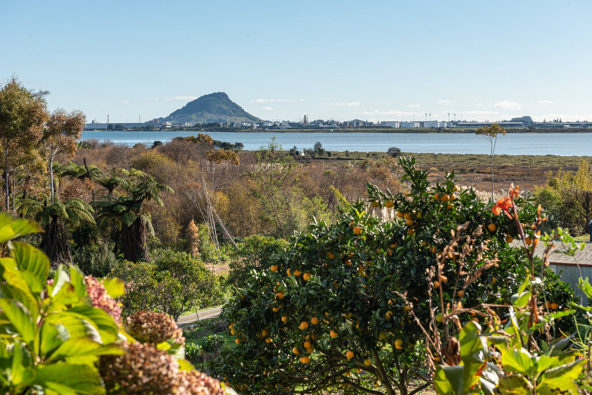 124 Matapihi Station Road, MATAPIHI, MOUNT MAUNGANUI - Carousel 1