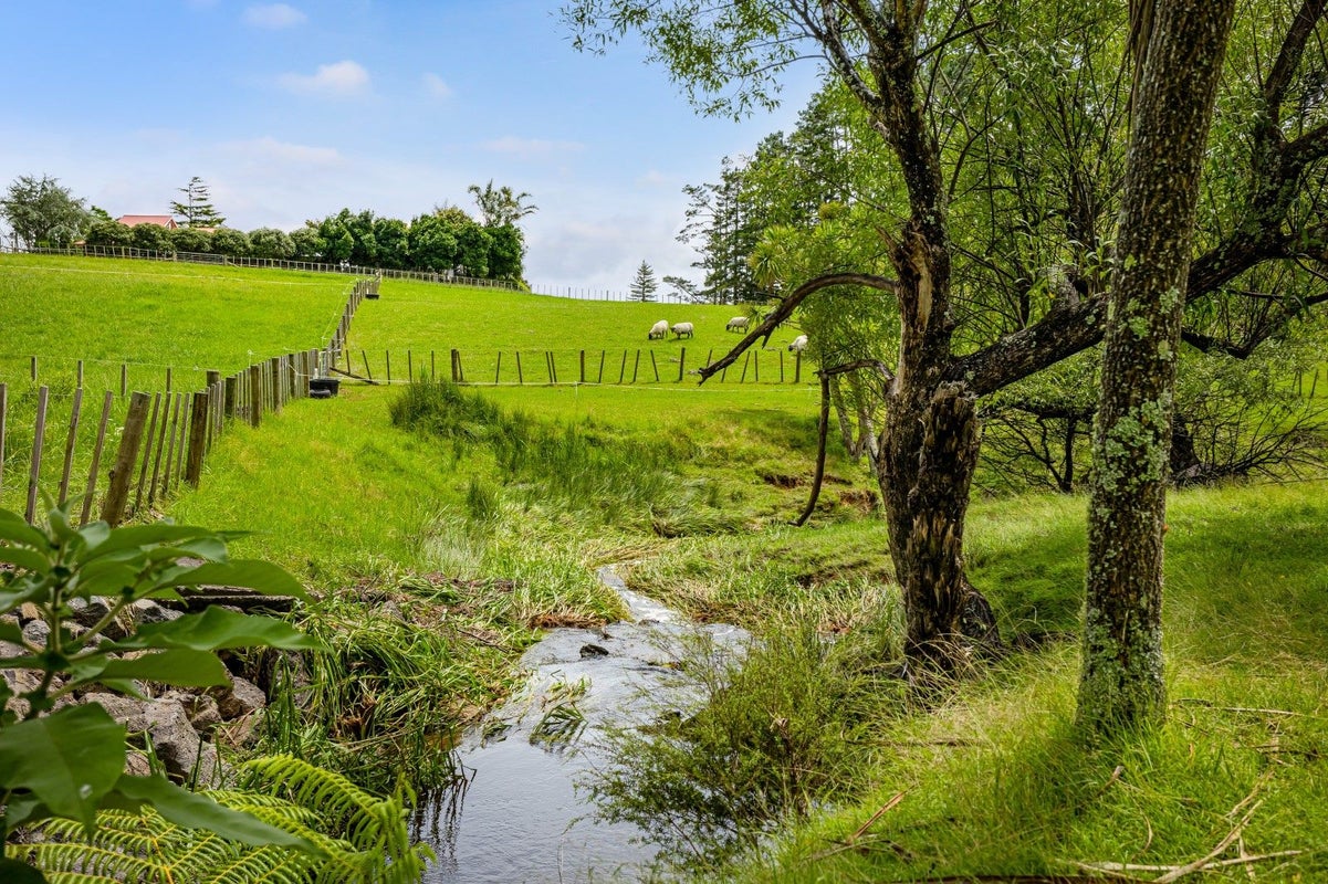 6 Dysart Lane, Kumeu - Carousel 14