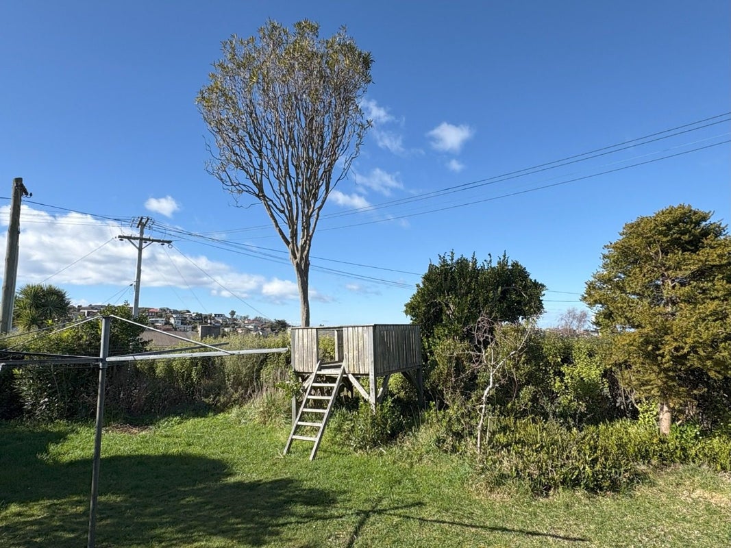 2 Kipling Street, Waverley, Dunedin - Carousel 15