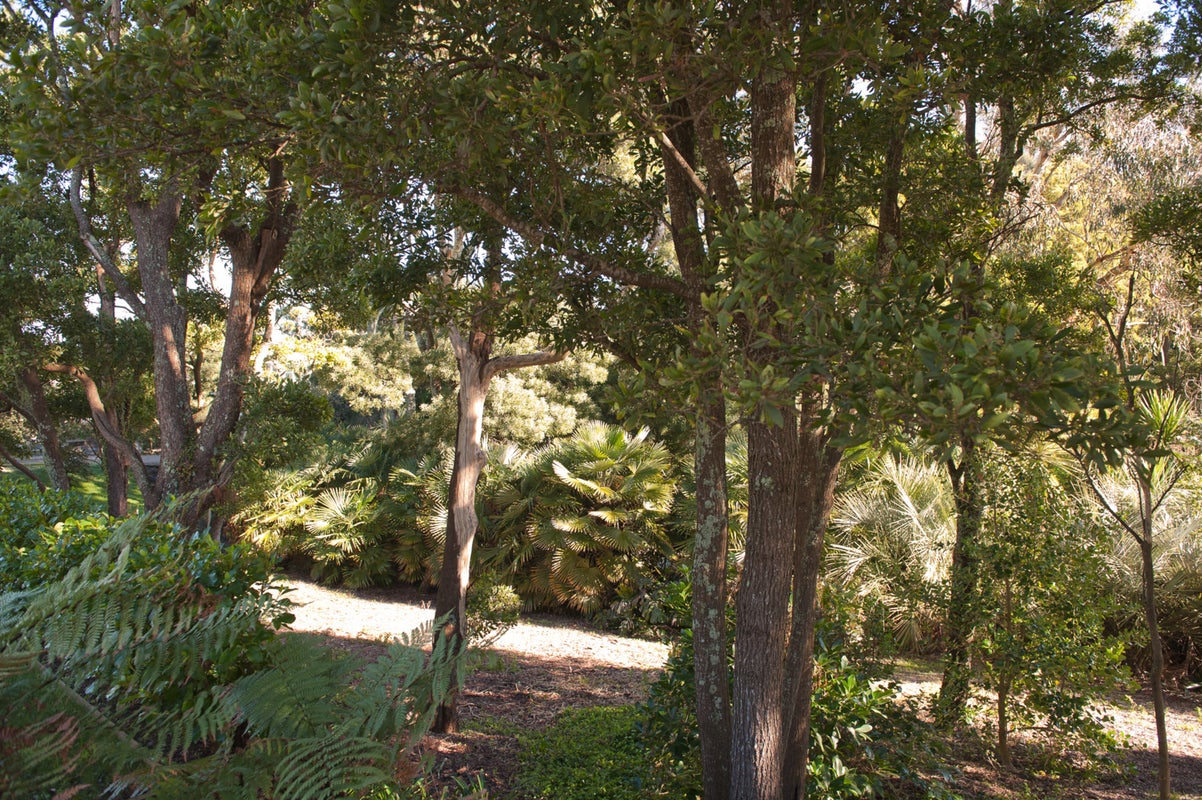 29 Great North Road, Saint Johns Hill, Whanganui - Carousel 21